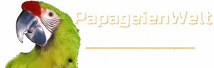 Website für Vogelpark Ambigua erstellt – Webdesign von Webella Design für Tierpark in der Schweiz