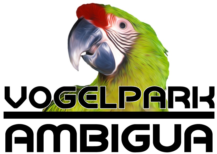 Vogelpark Ambigua Logo – Website erstellt von Webella Design